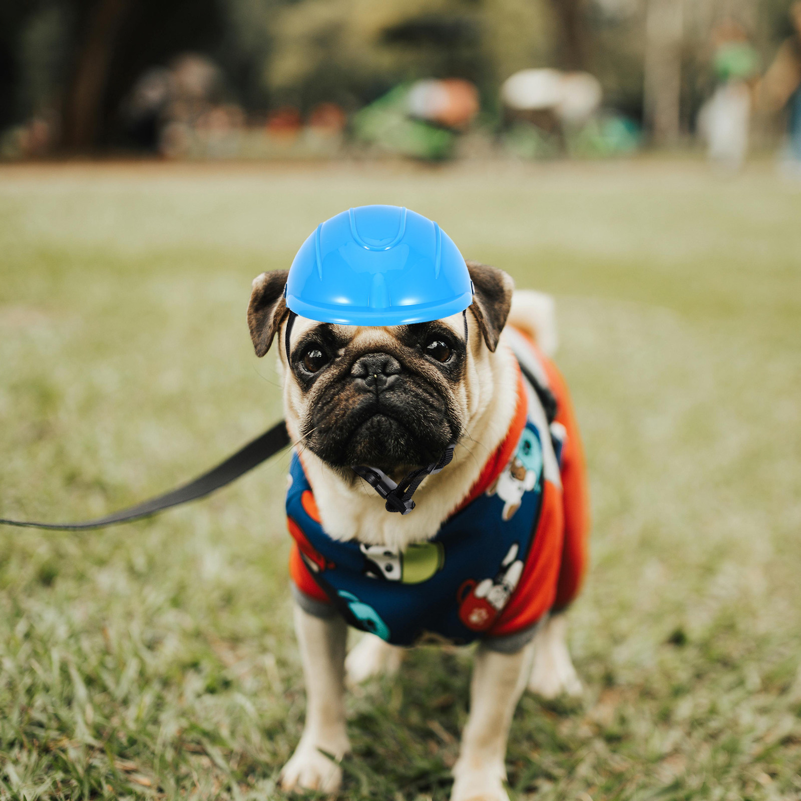 Small Dog Adjustable Protectiv - đánh giá và giá Motorcycle Gear For Dogs