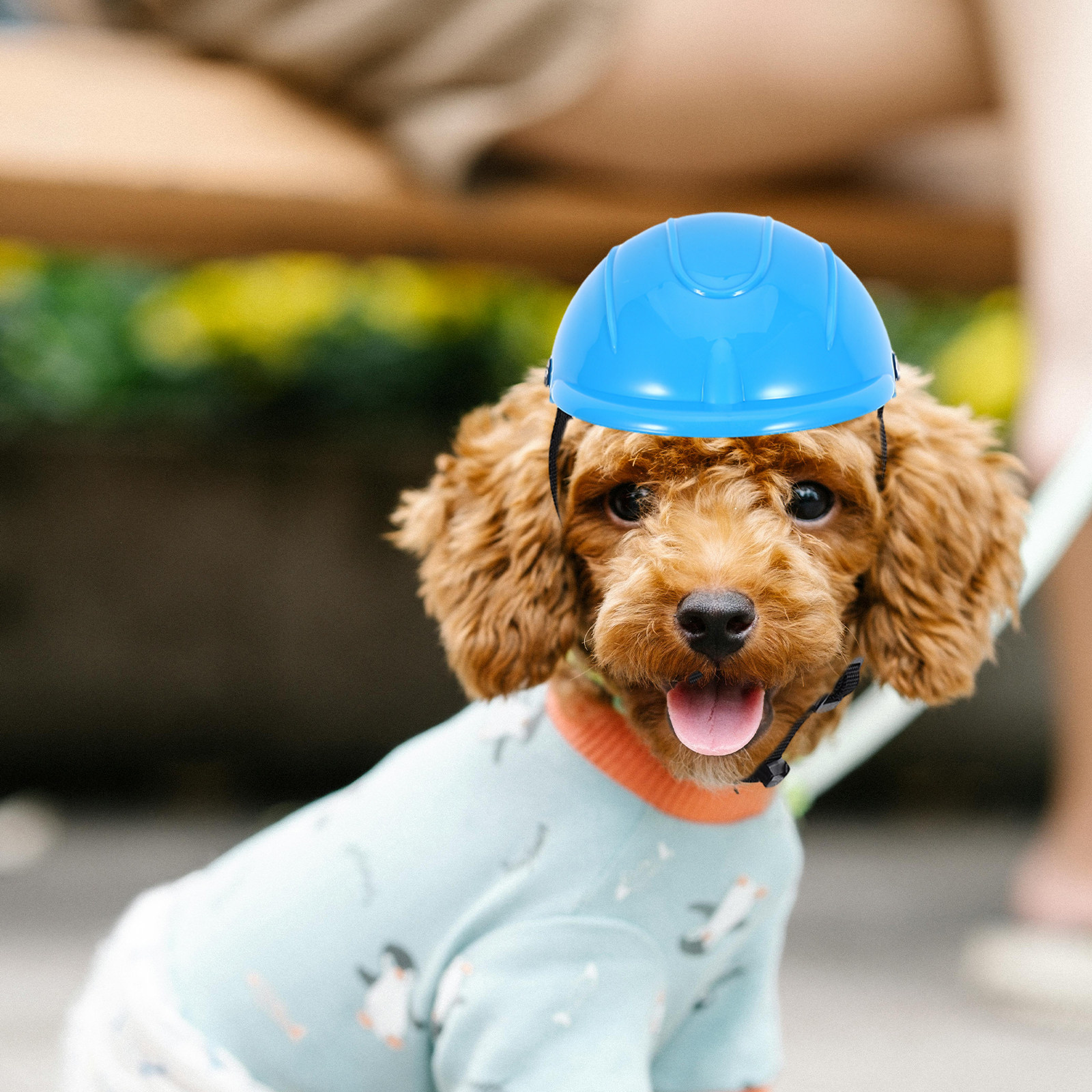 Small Dog Adjustable Protectiv - đánh giá và giá Motorcycle Gear For Dogs