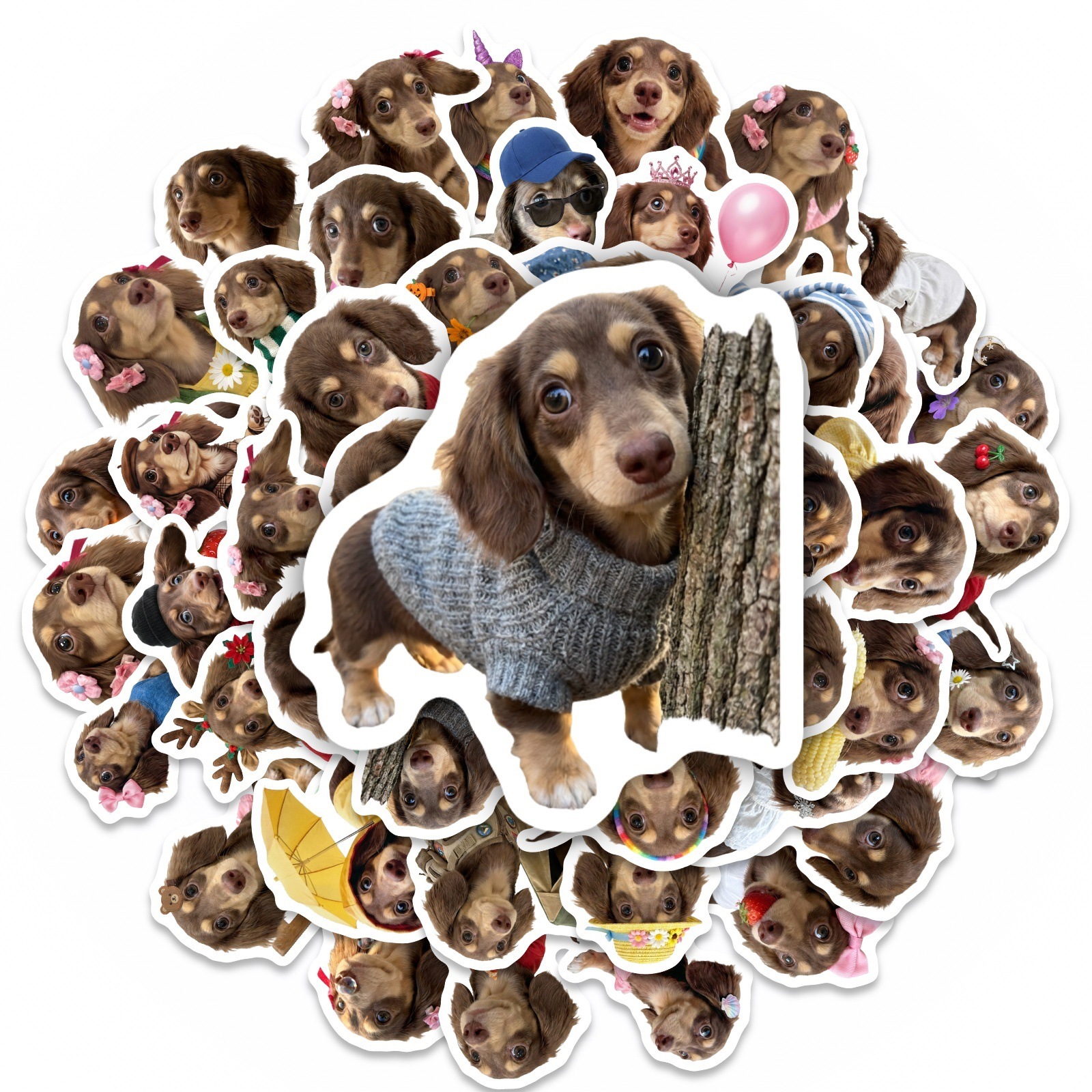 50 Pcs HD Cute Dachshund Stick - đánh giá và giá Motorcycle Gear For Dogs