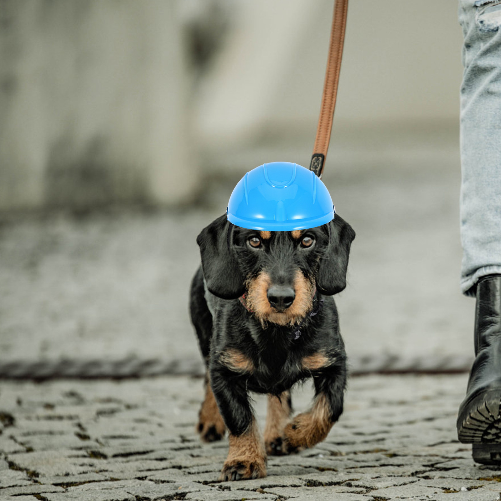 Small Dog Adjustable Pet Safet - đánh giá và giá Motorcycle Gear For Dogs